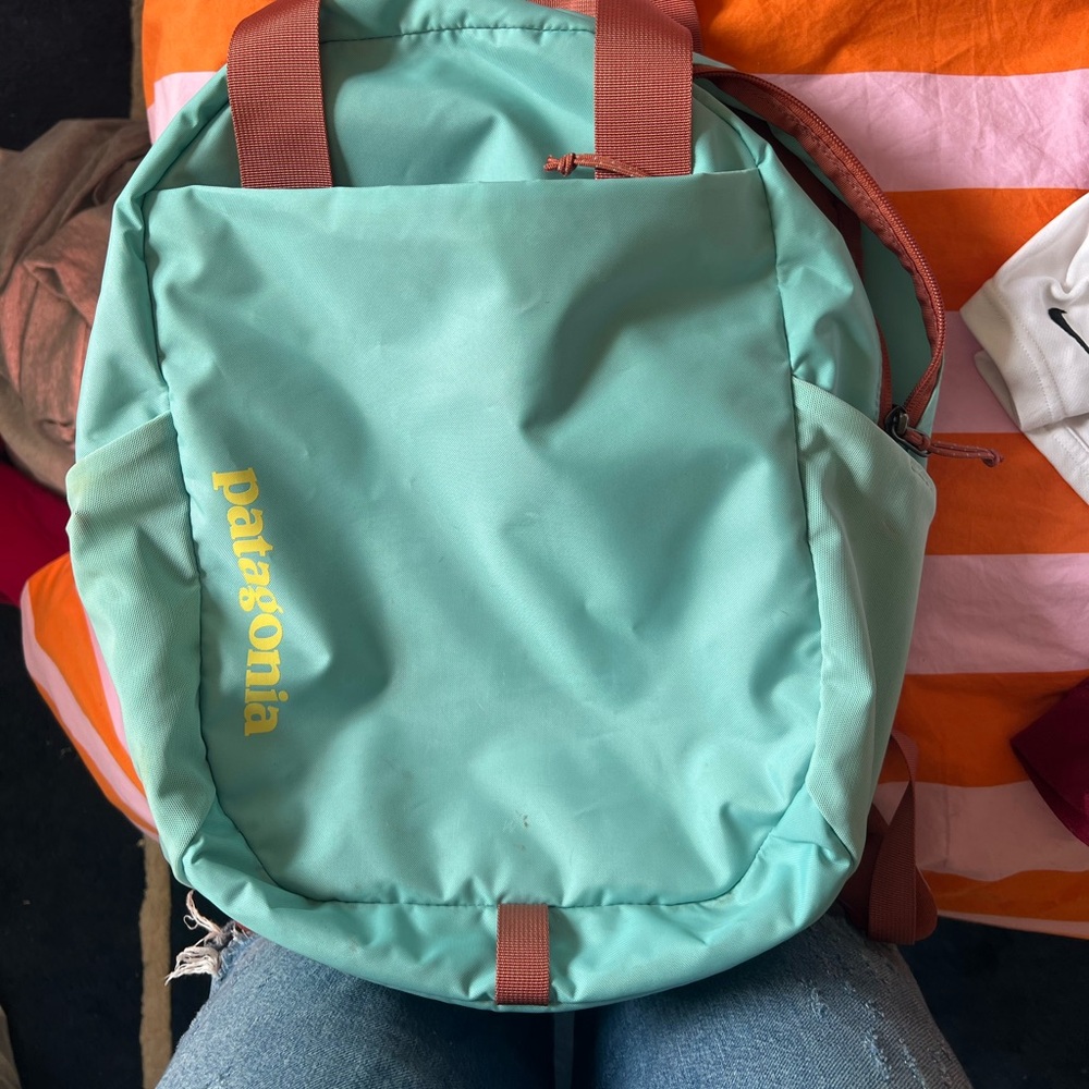 Patagonia Backpack